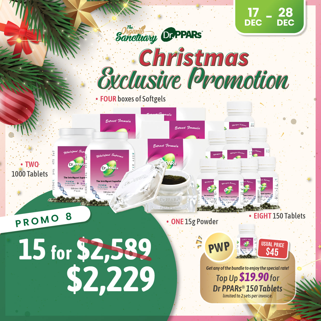 Christmas Promo 2025 - Promo 8