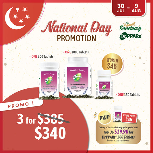 National Day Promo 1