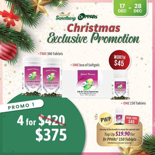 Christmas Promo 2025 - Promo 1