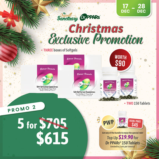 Christmas Promo 2025 - Promo 2