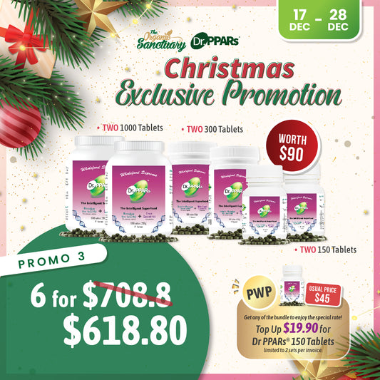 Christmas Promo 2025 - Promo 3