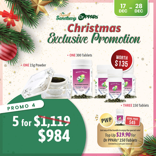 Christmas Promo 2025 - Promo 4