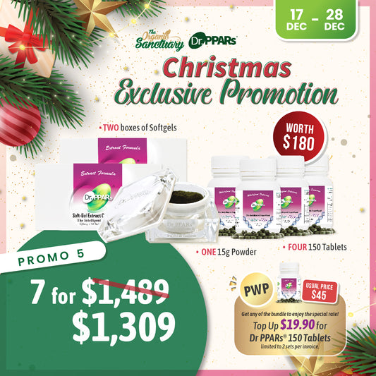 Christmas Promo 2025 - Promo 5