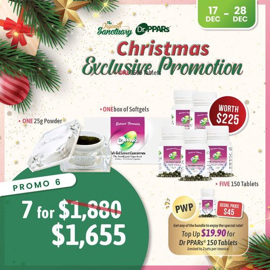 Christmas Promo 2025 - Promo 6