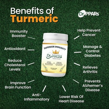 Dr PPARs Turmeric Formula