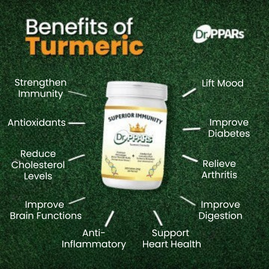 Dr PPARs Turmeric Formula