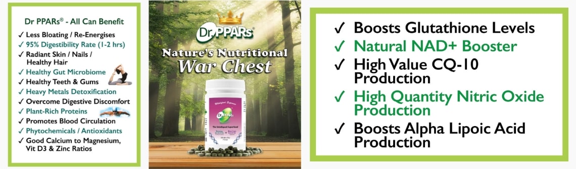 dr ppars - all ingredients combined